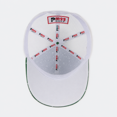 Custom Golf Cap,www.nearlonggolf.com,6 Panel Golf Baseball Cap For Pro Shops