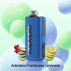 Blueberry Raspberry Lemonade
