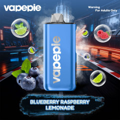 Blueberry Raspberry Lemonade