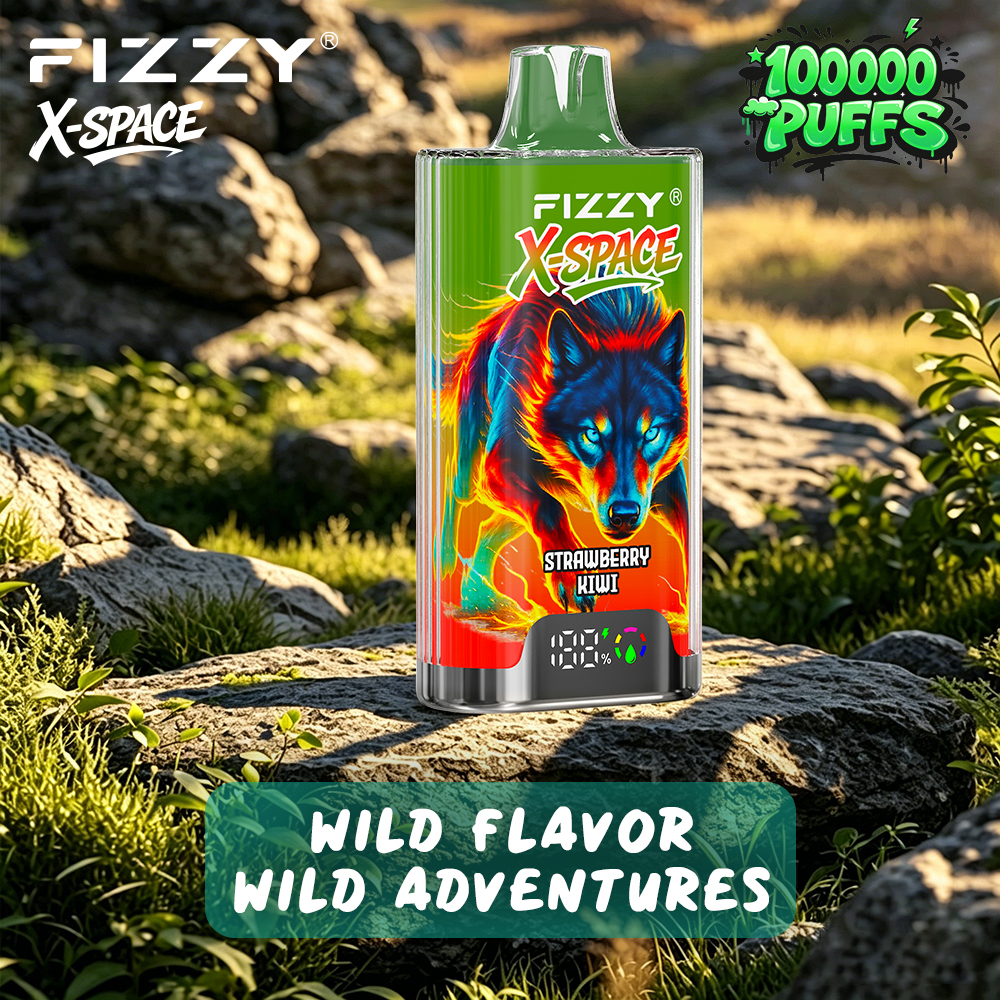 FIZZY X-SPACE 100K Puffs