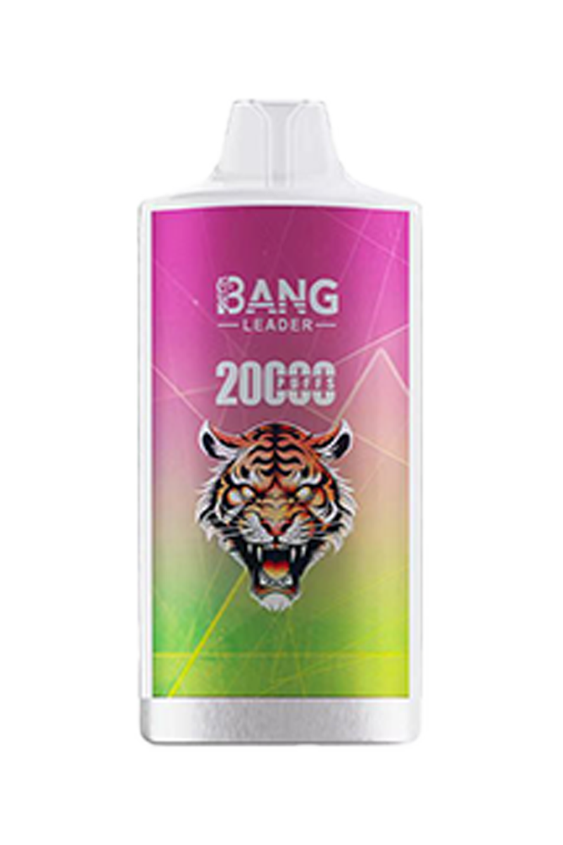 BANG Leader 20K Puff Vape