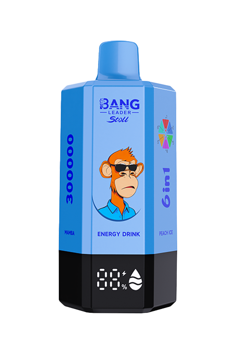 BANG Leader 6in1 300K Puff Vape