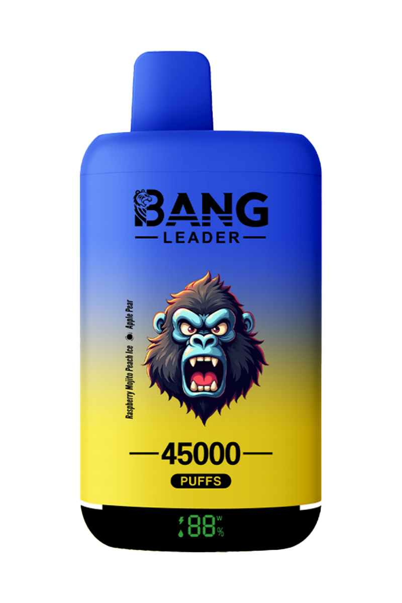 Bang Leader 45K Puff Vape