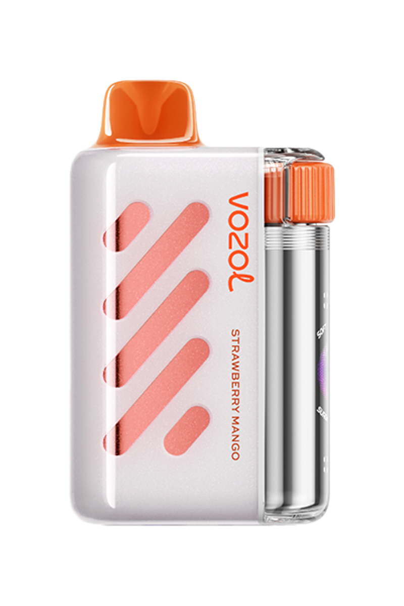 VOZOL VISTA  40000 Puff Vape
