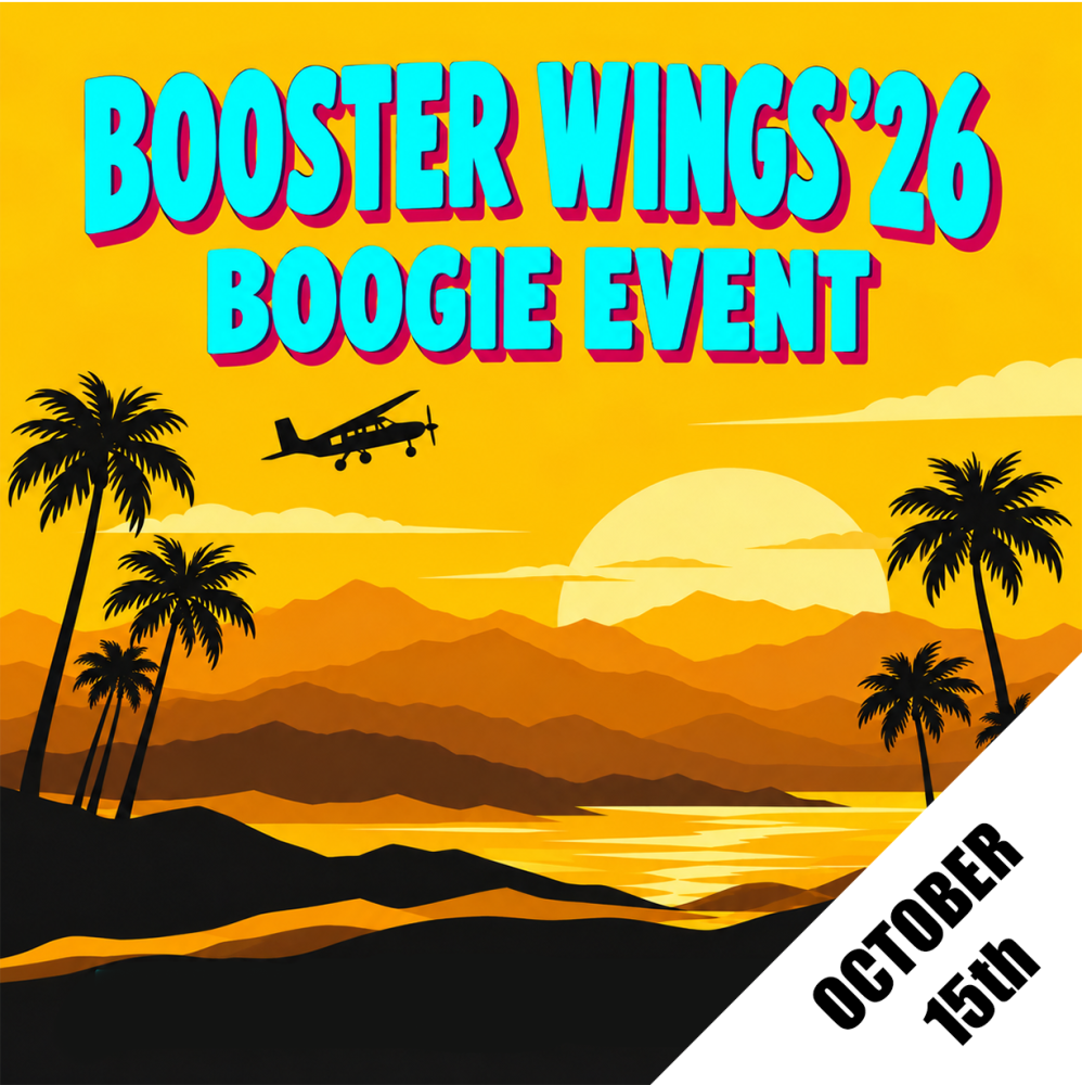 BoosterWings Pull-Up Cords