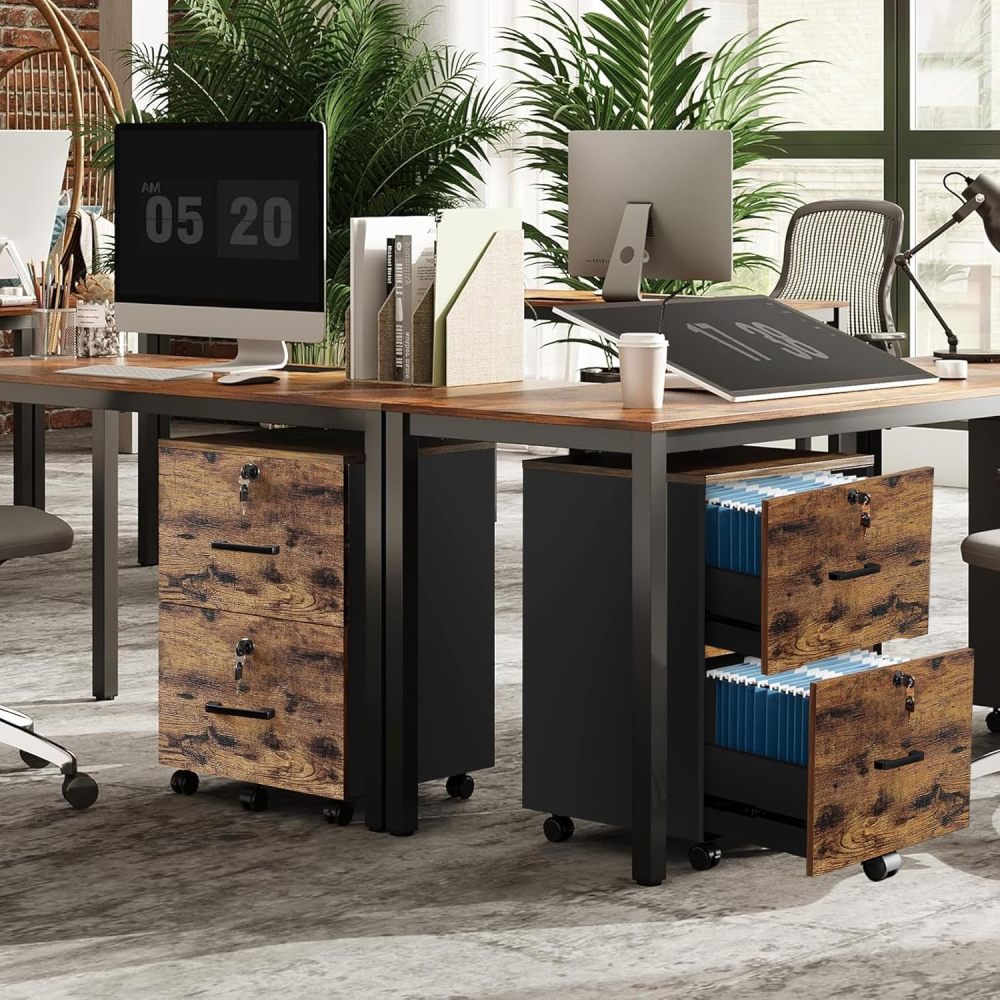 Filing Cabinet with 2 Drawers, Filing Cabinet with 5 Wheels for A4 and Letter Size Files, Under Desk Organizer for Home Office, Lockable Filing Cabinets with Printer Stand