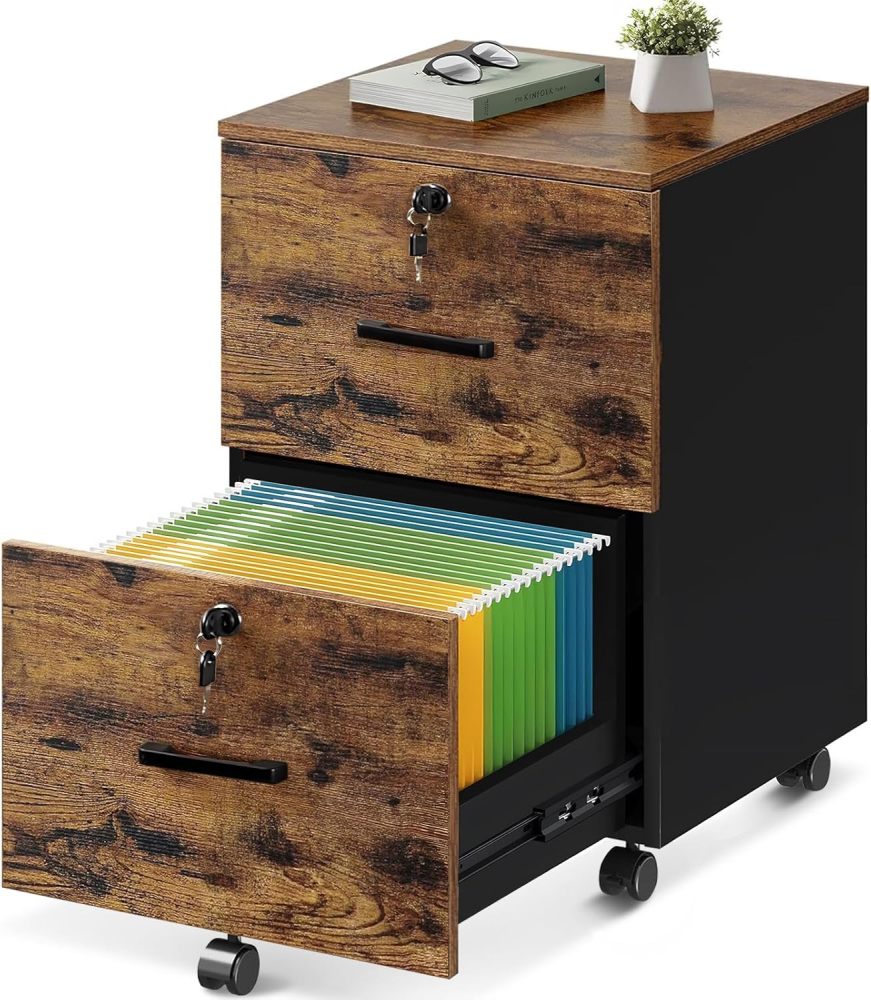 Filing Cabinet with 2 Drawers, Filing Cabinet with 5 Wheels for A4 and Letter Size Files, Under Desk Organizer for Home Office, Lockable Filing Cabinets with Printer Stand
