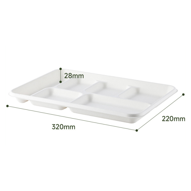 Rectangular 6-compartment plate