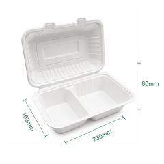 9x6x3 2-compartment lockablebox P
