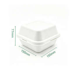 Mini 6