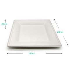 6-inch square plate
