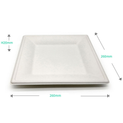 10-inch square plate