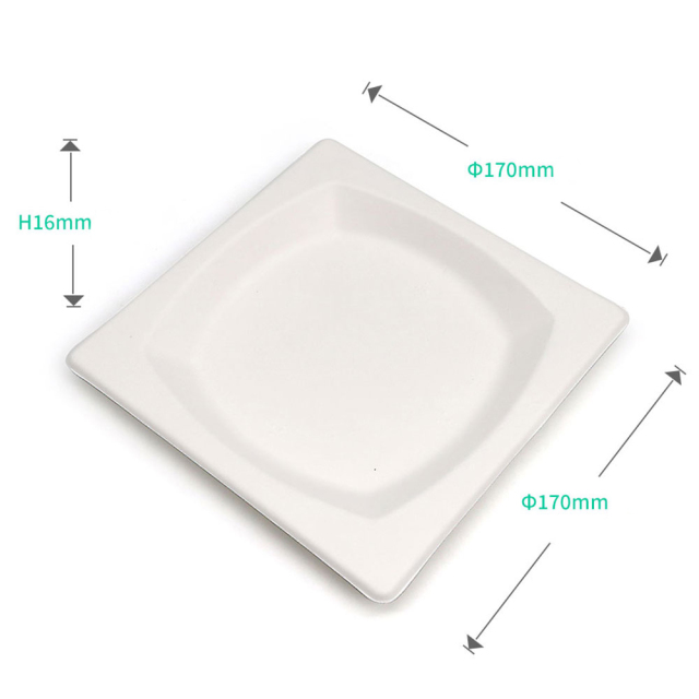 170mm square plate