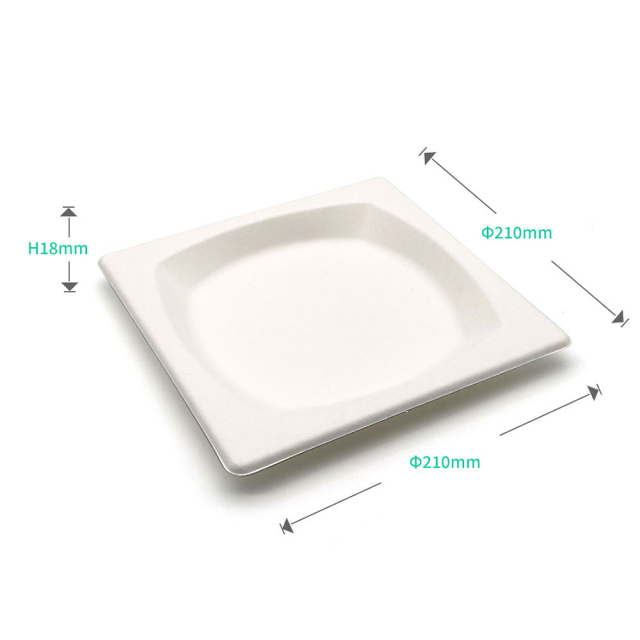 210mm square plate