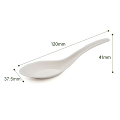 120 Spoon