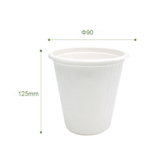 12 oz Cup
