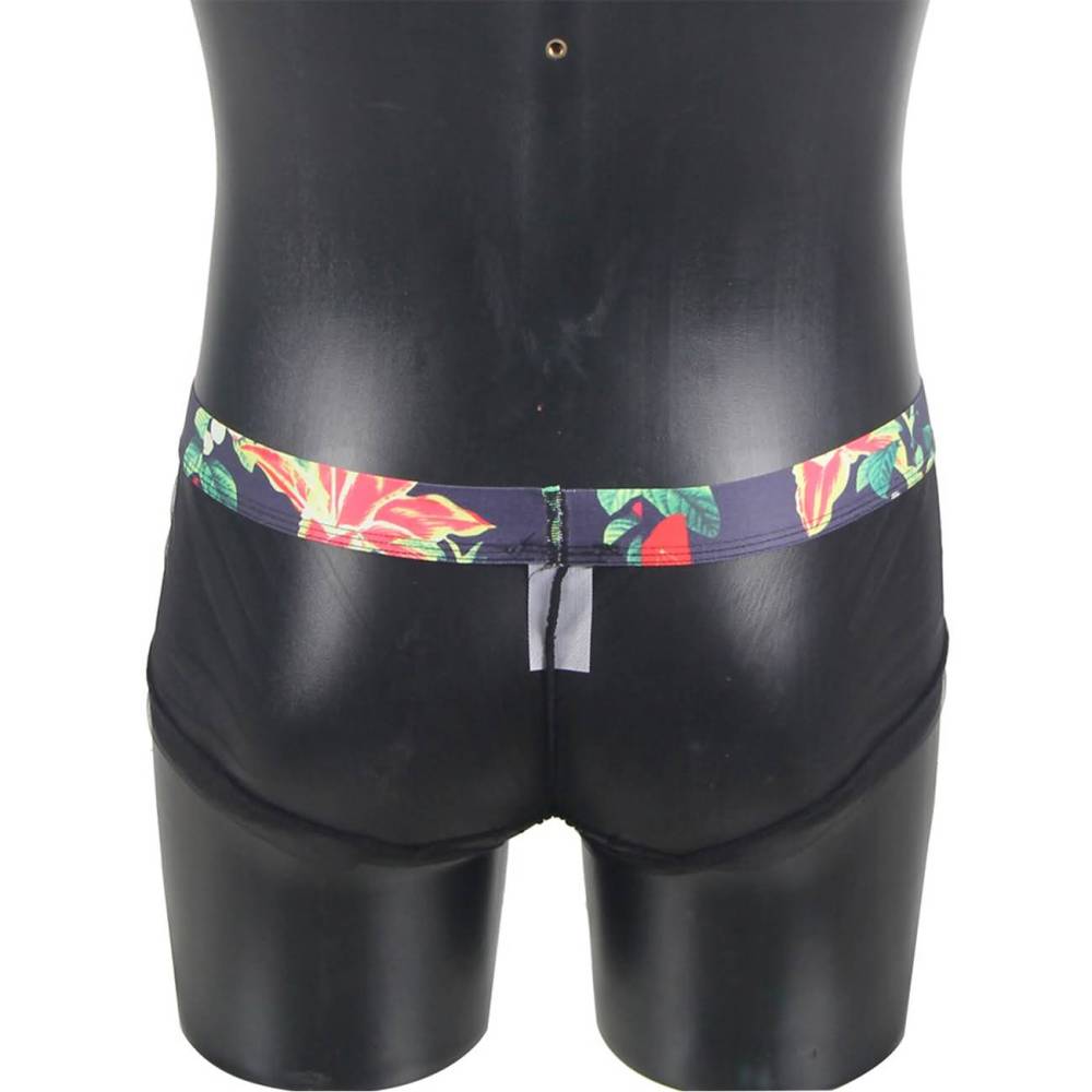 RAIKOU Herren Slip Unterwäsche Unterhose Briefs Wetlook Slips Kühl Ultradünn Atmungsaktiv Dessous