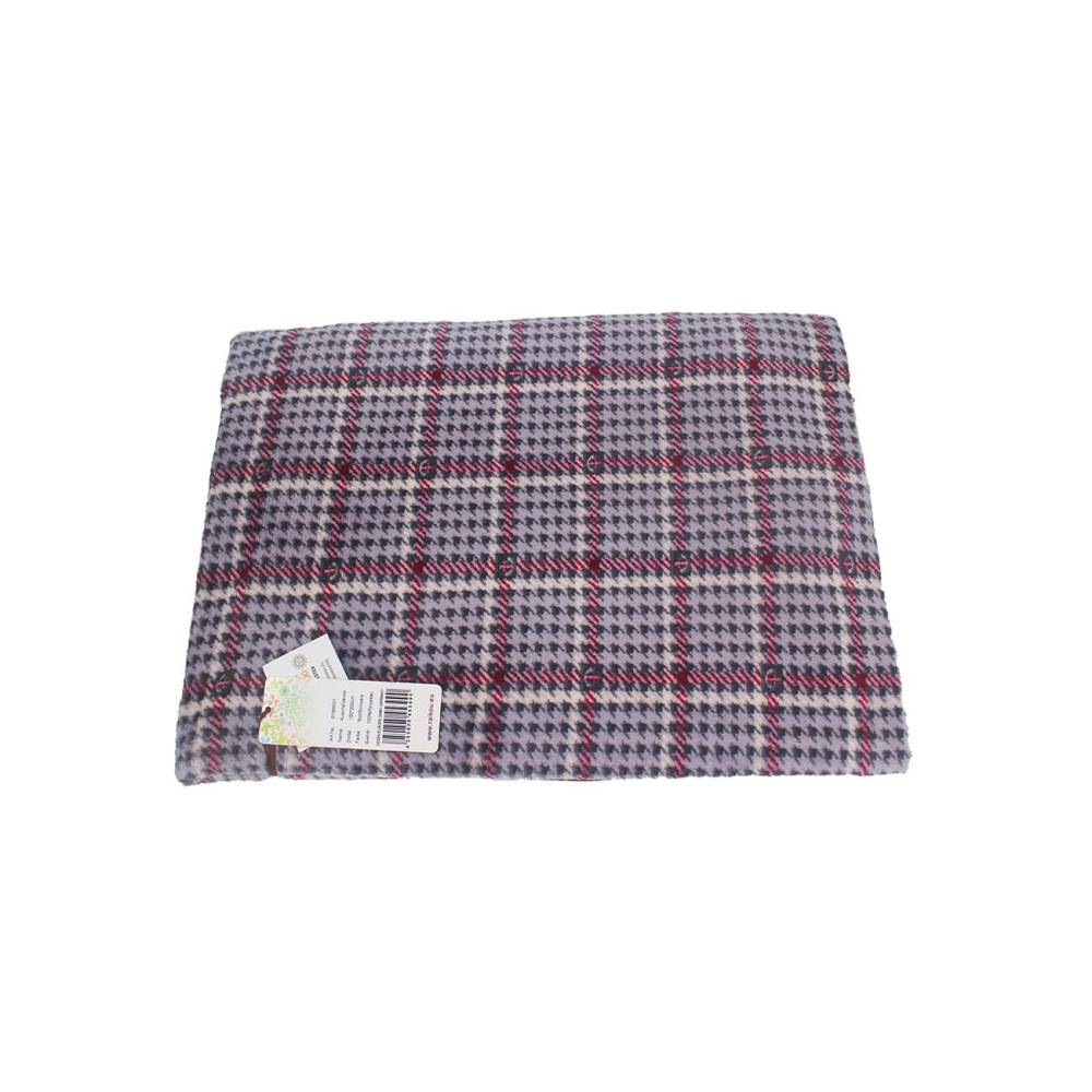 RAIKOU Wohn- und Kuscheldecke Flanelldecke Extra Weich Und Anschmiegsam Mit Hochwertiger Bandeinfassung, 4 Größen
