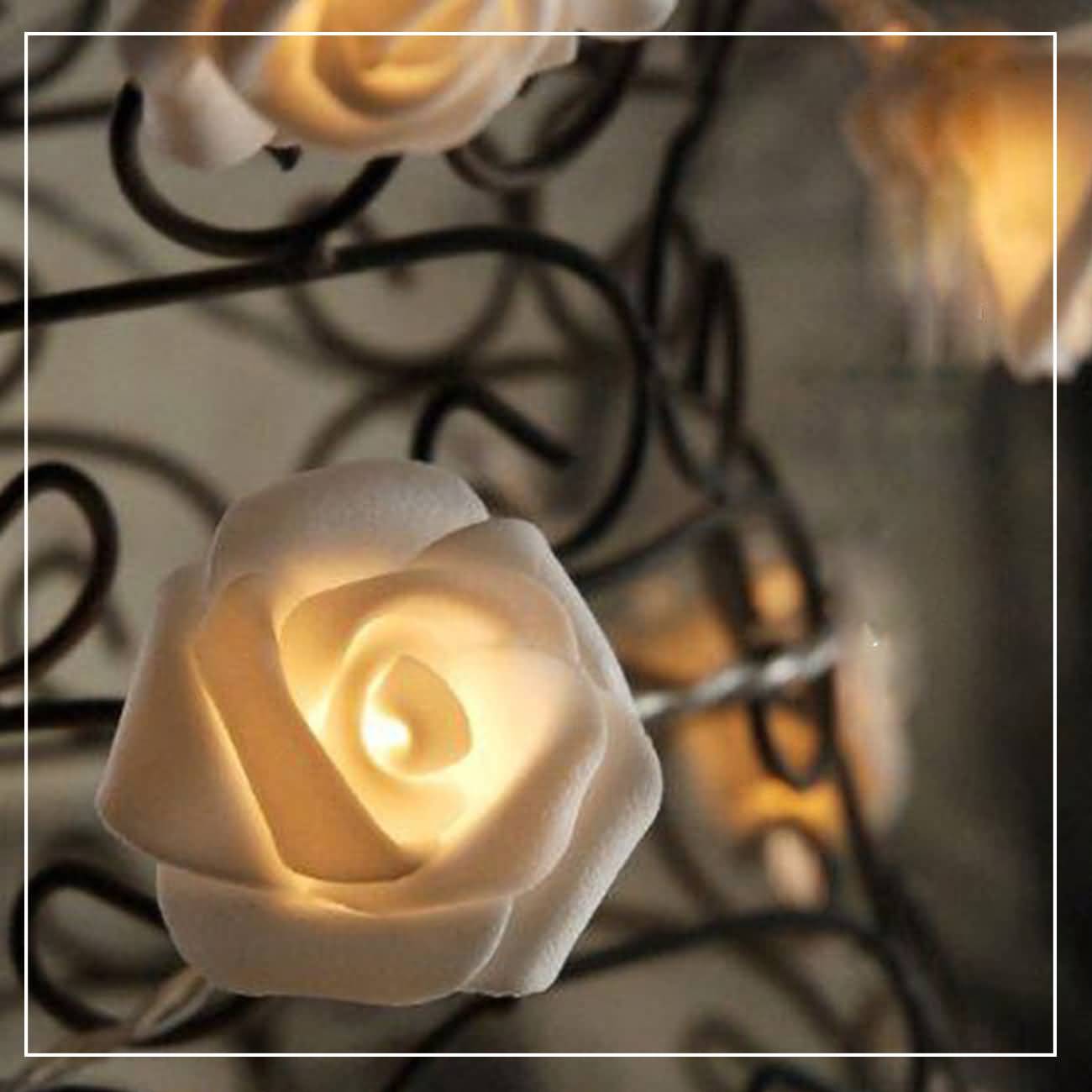 Raikou LED Rosen Blumen Warmweiß Lichterketten Beleuchtung Schlafzimmer Feiertagsbeleuchtung  Hochzeitsraum kleine dekorative Lichter