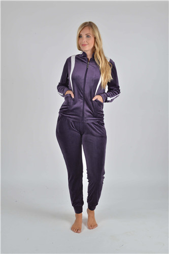RAIKOU Damen Hausanzug Trainingsanzug Velours Nicki Freizeitanzug Trainingsanzug Jogginganzug Schlafanzug mit Reißverschluss ,Freizeit Zweiteilige Set Oberteil und Hose