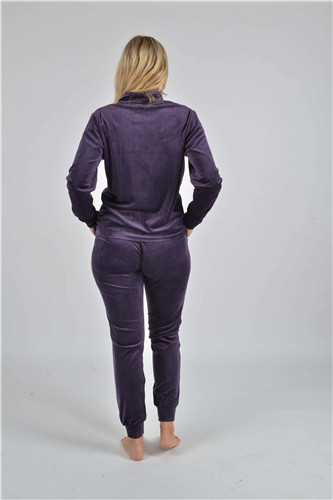 RAIKOU Damen Hausanzug Trainingsanzug Velours Nicki Freizeitanzug Trainingsanzug Jogginganzug Schlafanzug mit Reißverschluss ,Freizeit Zweiteilige Set Oberteil und Hose