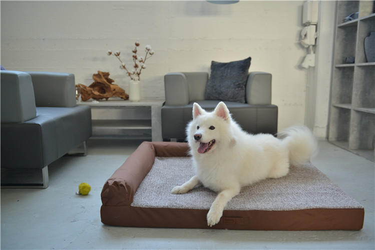 RAIKOU Weiches Hundebett mit entnehmbarem Polster, gepolstertes waschbares Haustierbett Hundekissen Hundesofa Hundekorb