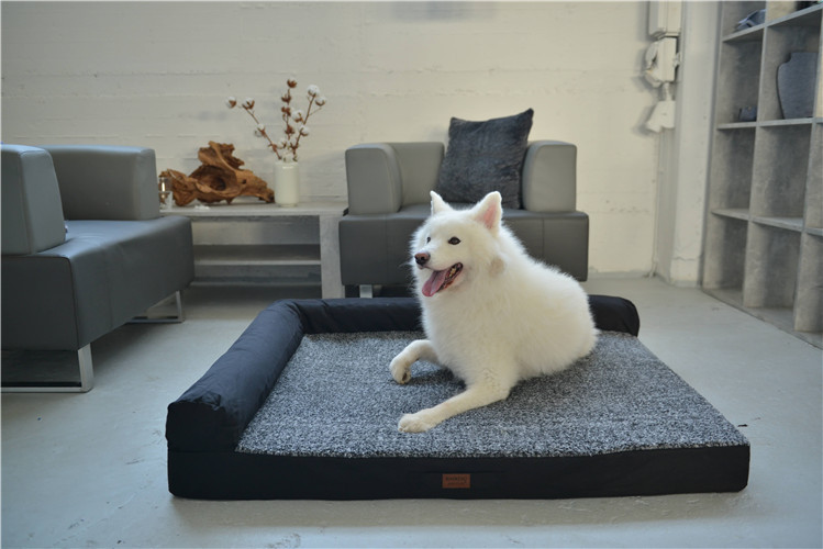 RAIKOU Weiches Hundebett mit entnehmbarem Polster, gepolstertes waschbares Haustierbett Hundekissen Hundesofa Hundekorb