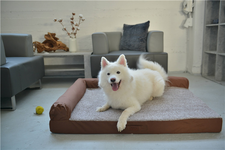 RAIKOU Weiches Hundebett mit entnehmbarem Polster, gepolstertes waschbares Haustierbett Hundekissen Hundesofa Hundekorb