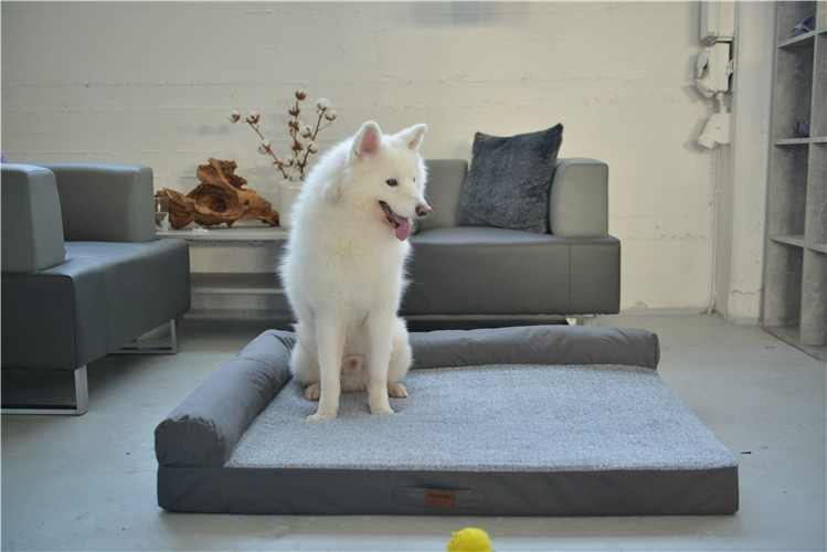 RAIKOU Weiches Hundebett mit entnehmbarem Polster, gepolstertes waschbares Haustierbett Hundekissen Hundesofa Hundekorb