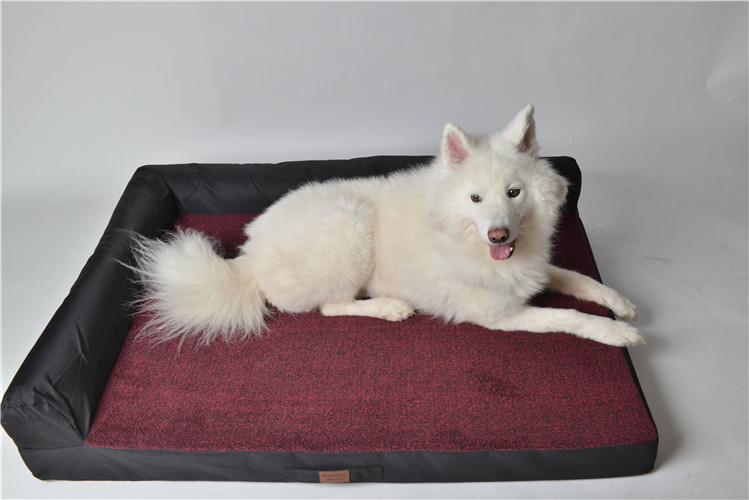 RAIKOU Weiches Hundebett mit entnehmbarem Polster, gepolstertes waschbares Haustierbett Hundekissen Hundesofa Hundekorb