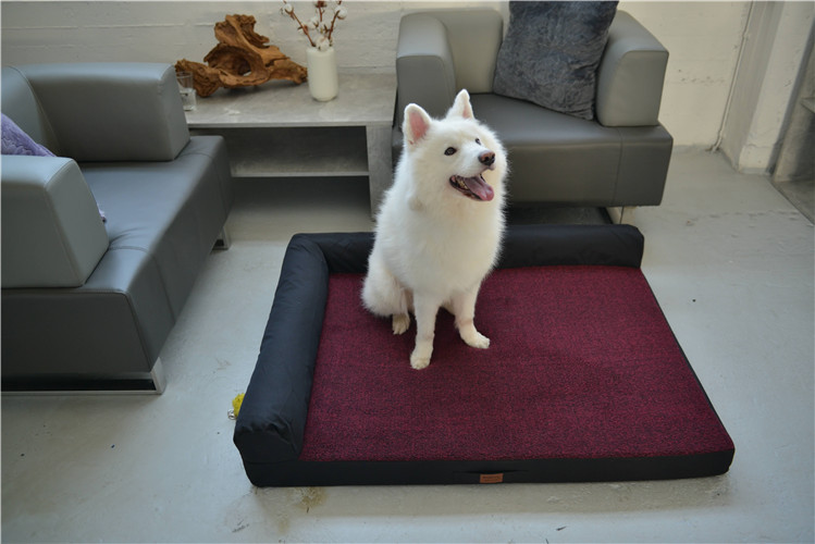RAIKOU Weiches Hundebett mit entnehmbarem Polster, gepolstertes waschbares Haustierbett Hundekissen Hundesofa Hundekorb