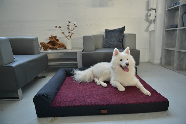 RAIKOU Weiches Hundebett mit entnehmbarem Polster, gepolstertes waschbares Haustierbett Hundekissen Hundesofa Hundekorb