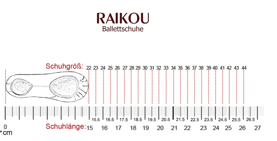 Raikou Balletschuhe Balletschläppchen für Kinder und Erwachsene Ballet Trainings Schuhe