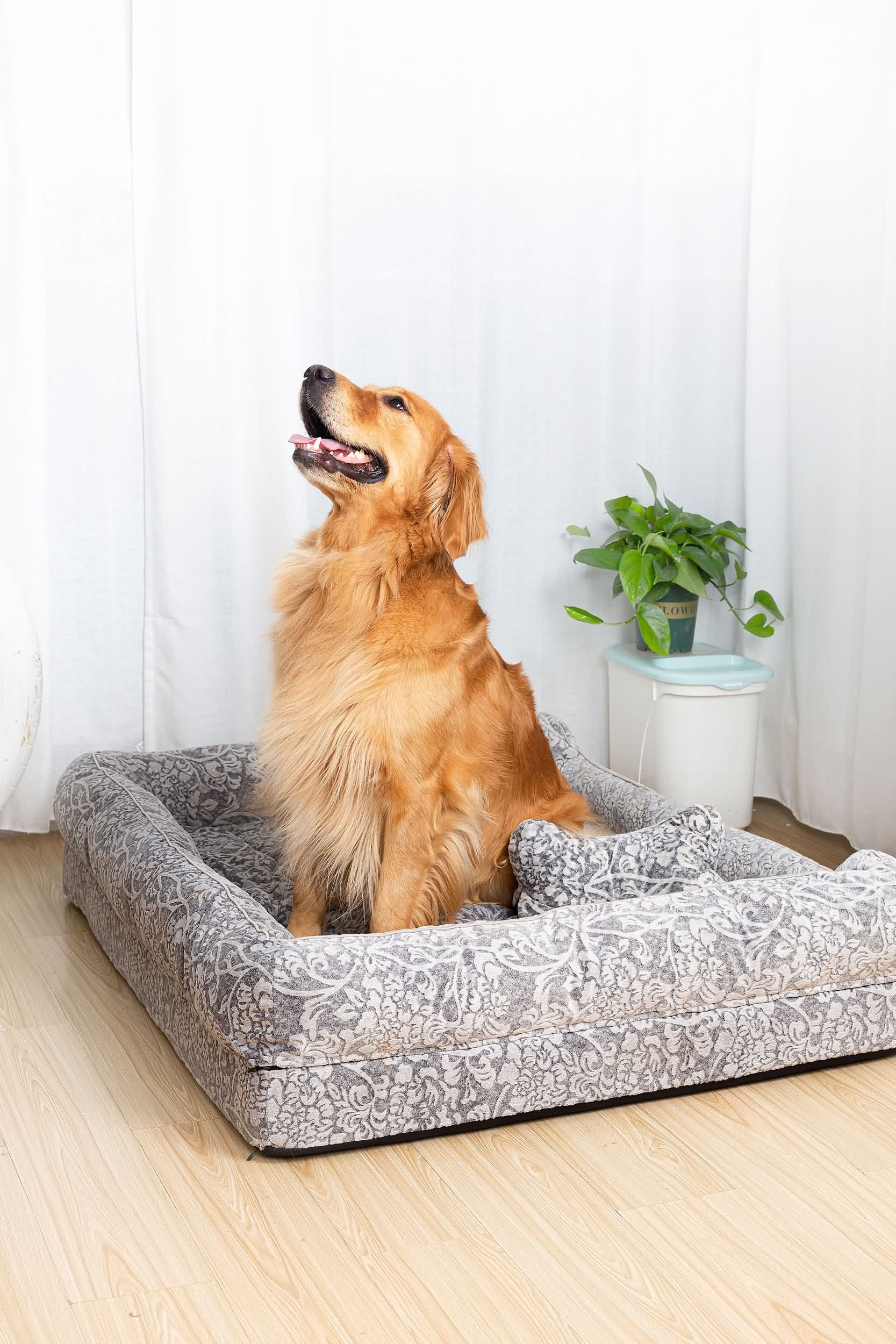 RAIKOU Hundebett mit Abnehmbarem Kissen, gepolstertes waschbares Tierbett  Schlafplatz  Hundekissen Hundesofa Hundemette Tierbedarf