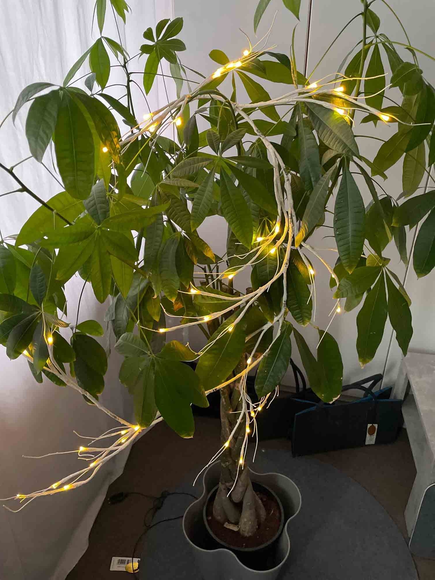 Lichtdekoration, Ambiente-Ast und Vlies Tischläufer 200cm x 30cm, 12 Lichterzweige, warmweißes Entspannungslicht, 1.8 Meter mit 48 LED’s