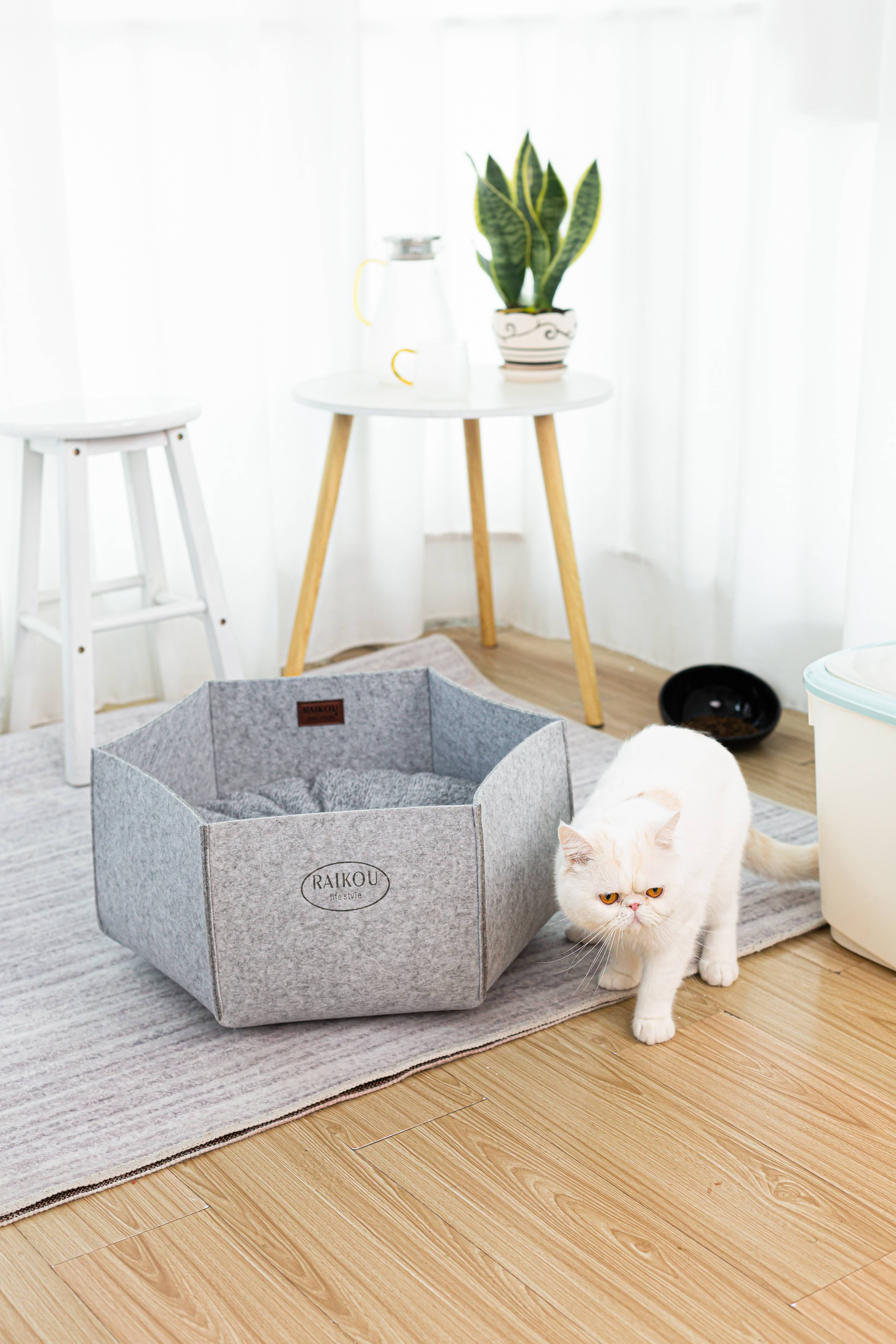 Katzenkorb aus Filz inkl. Kissen. Kuscheliger Rückzugsort und Katzenbett Katzennest, Filzbett, Filzkorb, Haustierbett (HellGrau)