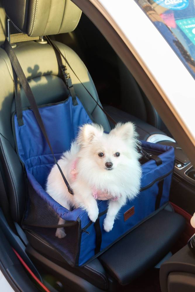 Haustier-Autositz, Stabiler Autositz für Kleine Bis Mittelgroße Hunde, safety-seat for pets, 50cm*40cm*24cm (L*B*H)