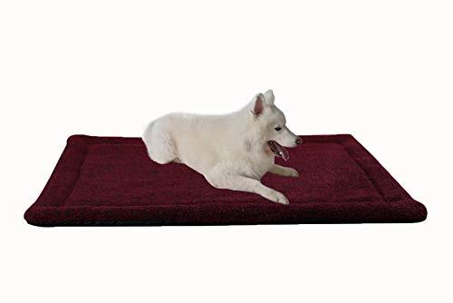 RAIKOU Haustierbett, Bett für Hunde und Katzen, Haustierdecke super weich