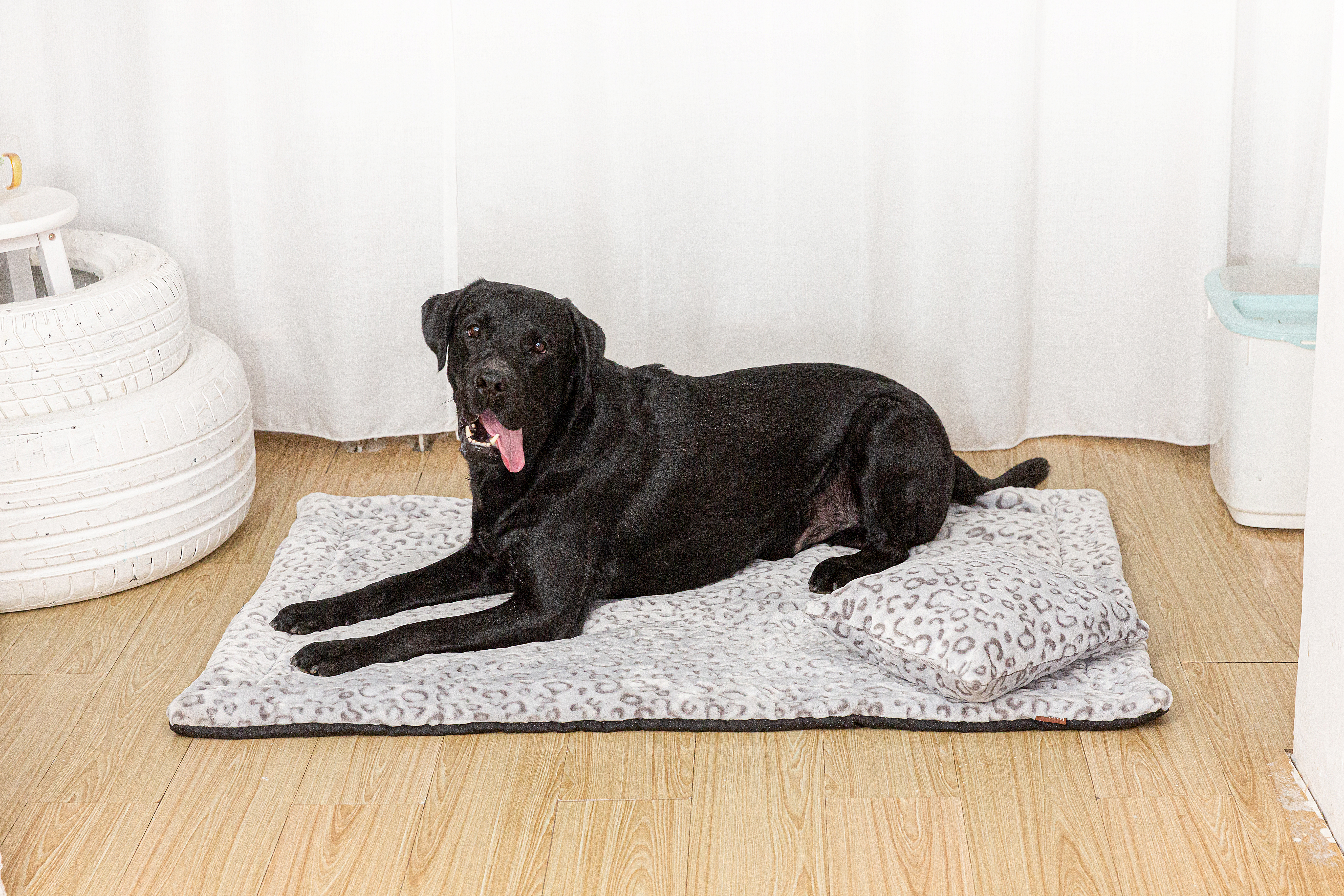 RAIKOU Haustierbett, Bett für Hunde und Katzen, Haustierdecke super weich