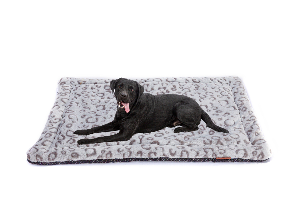 RAIKOU Haustierbett, Bett für Hunde und Katzen, Haustierdecke super weich