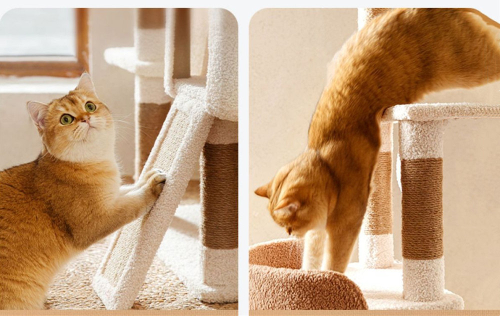 Kratzbaum Katzenhöhle 130cm mit 1 Spielrolle 2 Schlafhöhle 1luxuriösen Sofas  aus extra starkem Natursisal und Plüsch