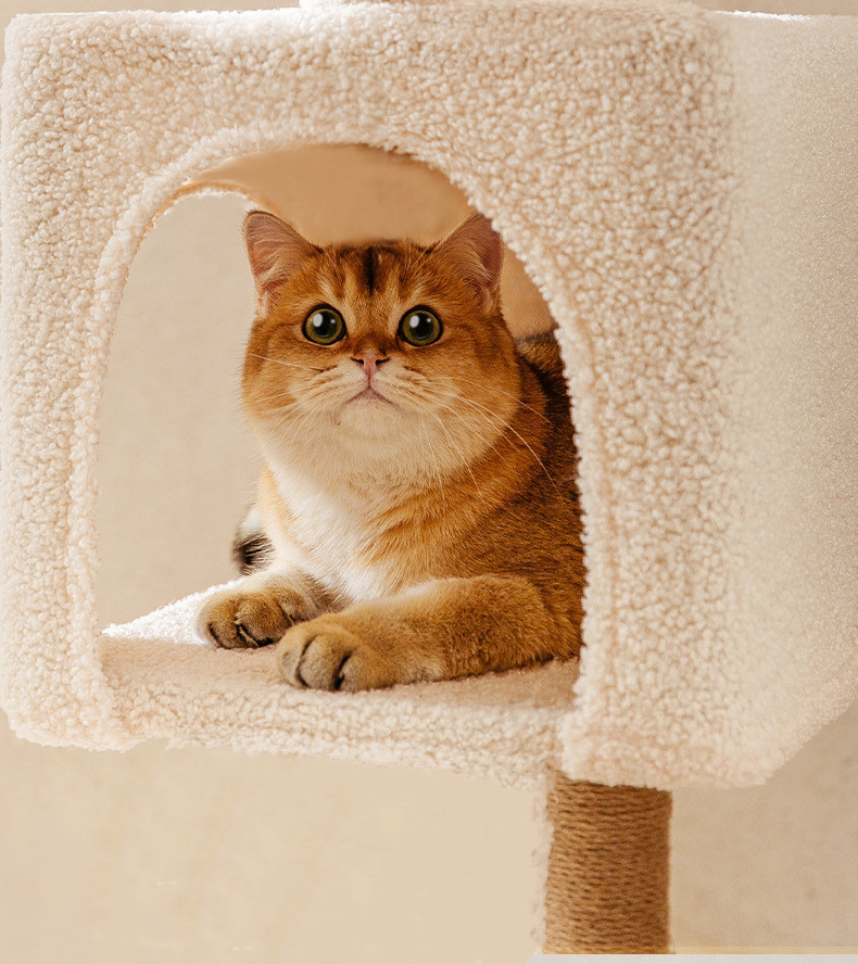 Kratzbaum Katzenhöhle 130cm mit 1 Spielrolle 2 Schlafhöhle 1luxuriösen Sofas  aus extra starkem Natursisal und Plüsch