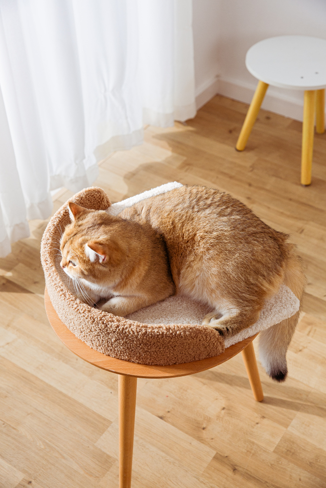 Kratzbaum Katzenhöhle 130cm mit 1 Spielrolle 2 Schlafhöhle 1luxuriösen Sofas  aus extra starkem Natursisal und Plüsch