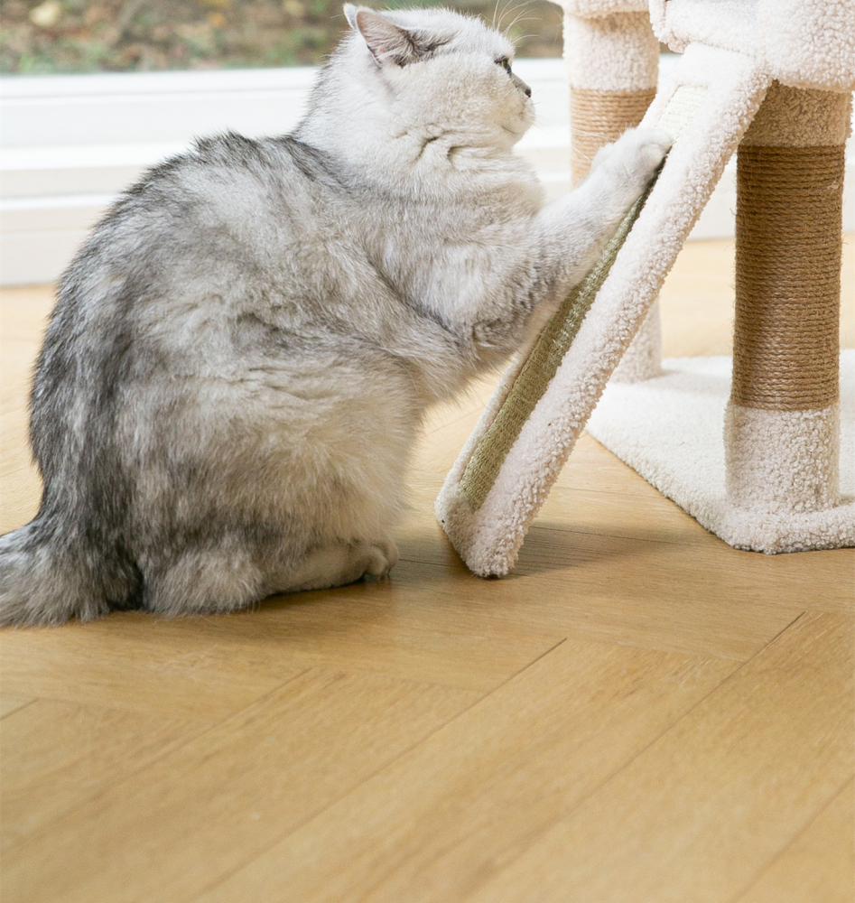 Kratzbaum Katzenhöhle 130cm mit 1 Spielrolle 2 Schlafhöhle 1luxuriösen Sofas  aus extra starkem Natursisal und Plüsch