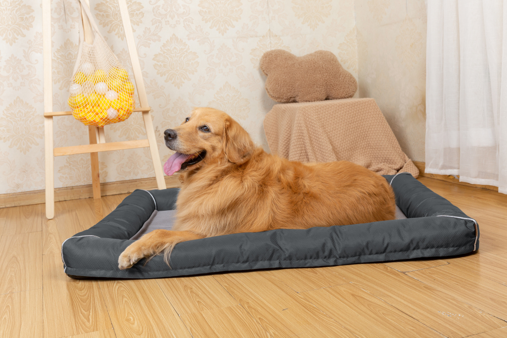 Raikou Hundebett Hundesofa Katzenbett Tierbette Bezug abnehmbar und waschbar  Boden wasserabweisend Abti Rutsch