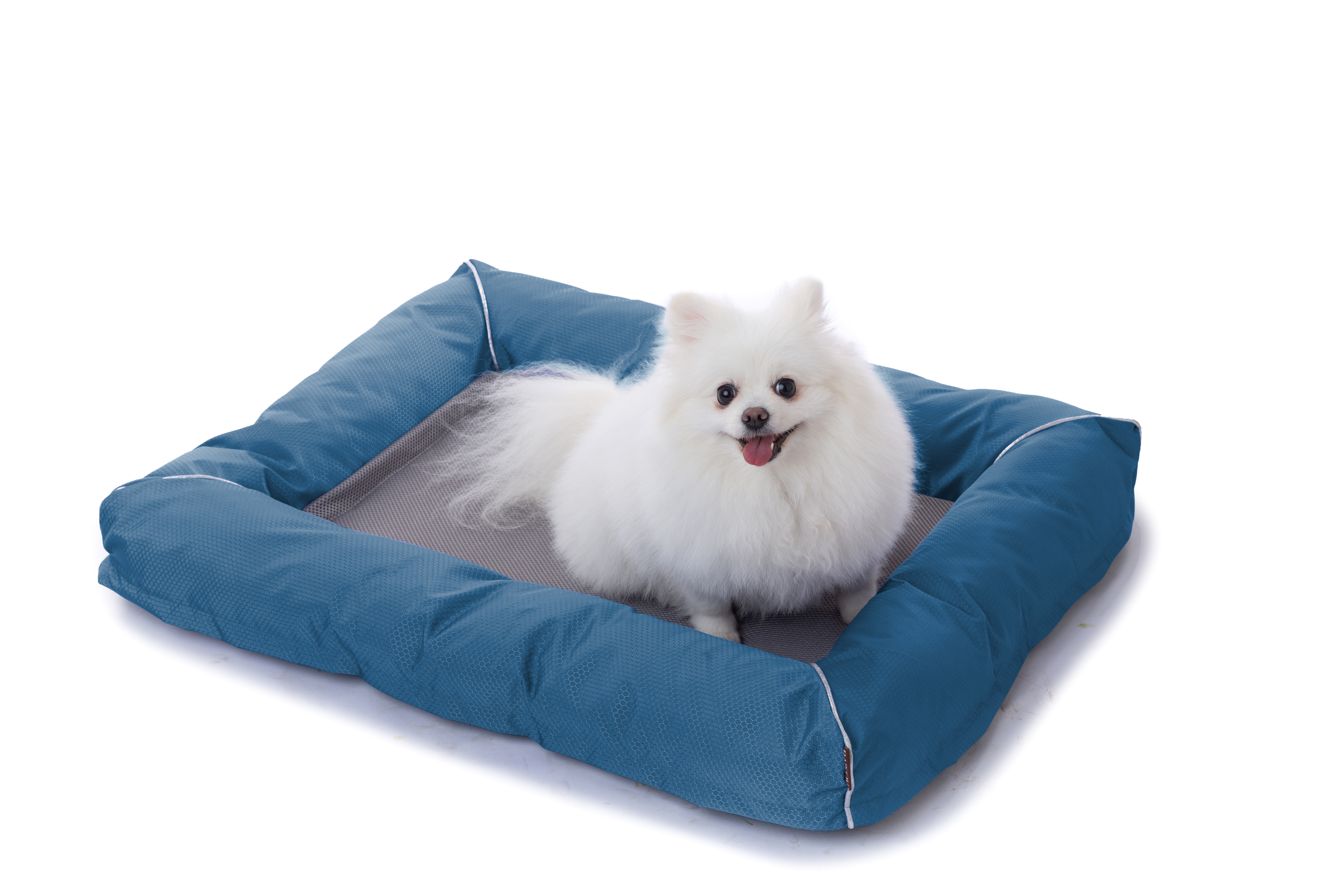 Raikou Hundebett Hundesofa Katzenbett Tierbette Bezug abnehmbar und waschbar  Boden wasserabweisend Abti Rutsch