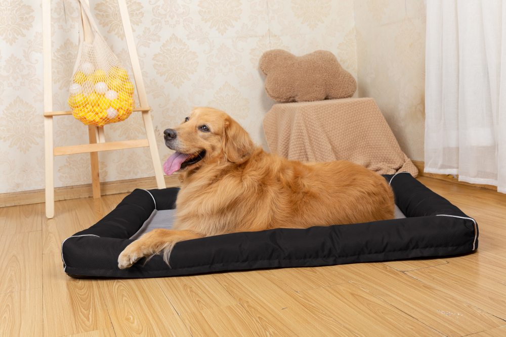 Raikou Hundebett Hundesofa Katzenbett Tierbette Bezug abnehmbar und waschbar  Boden wasserabweisend Abti Rutsch