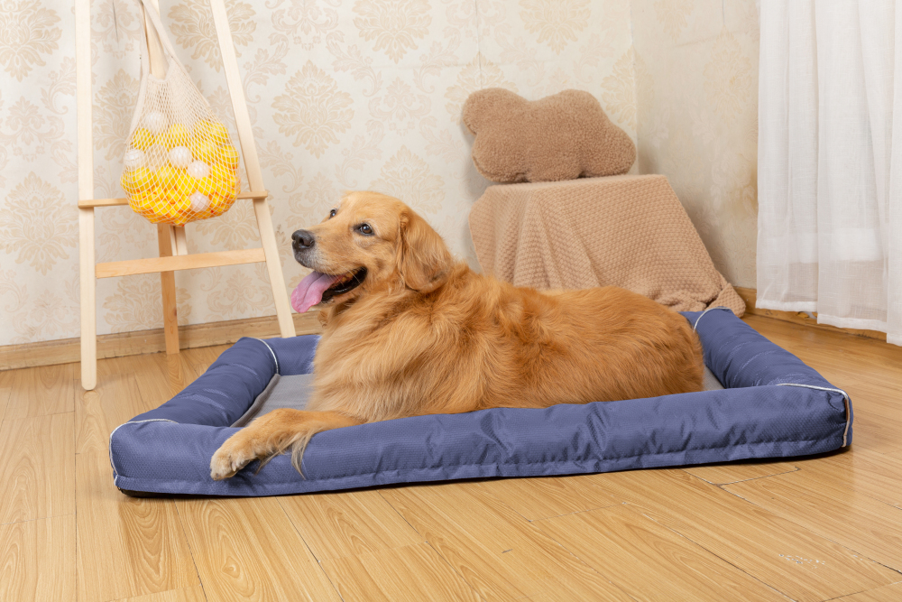 Raikou Hundebett Hundesofa Katzenbett Tierbette Bezug abnehmbar und waschbar  Boden wasserabweisend Abti Rutsch