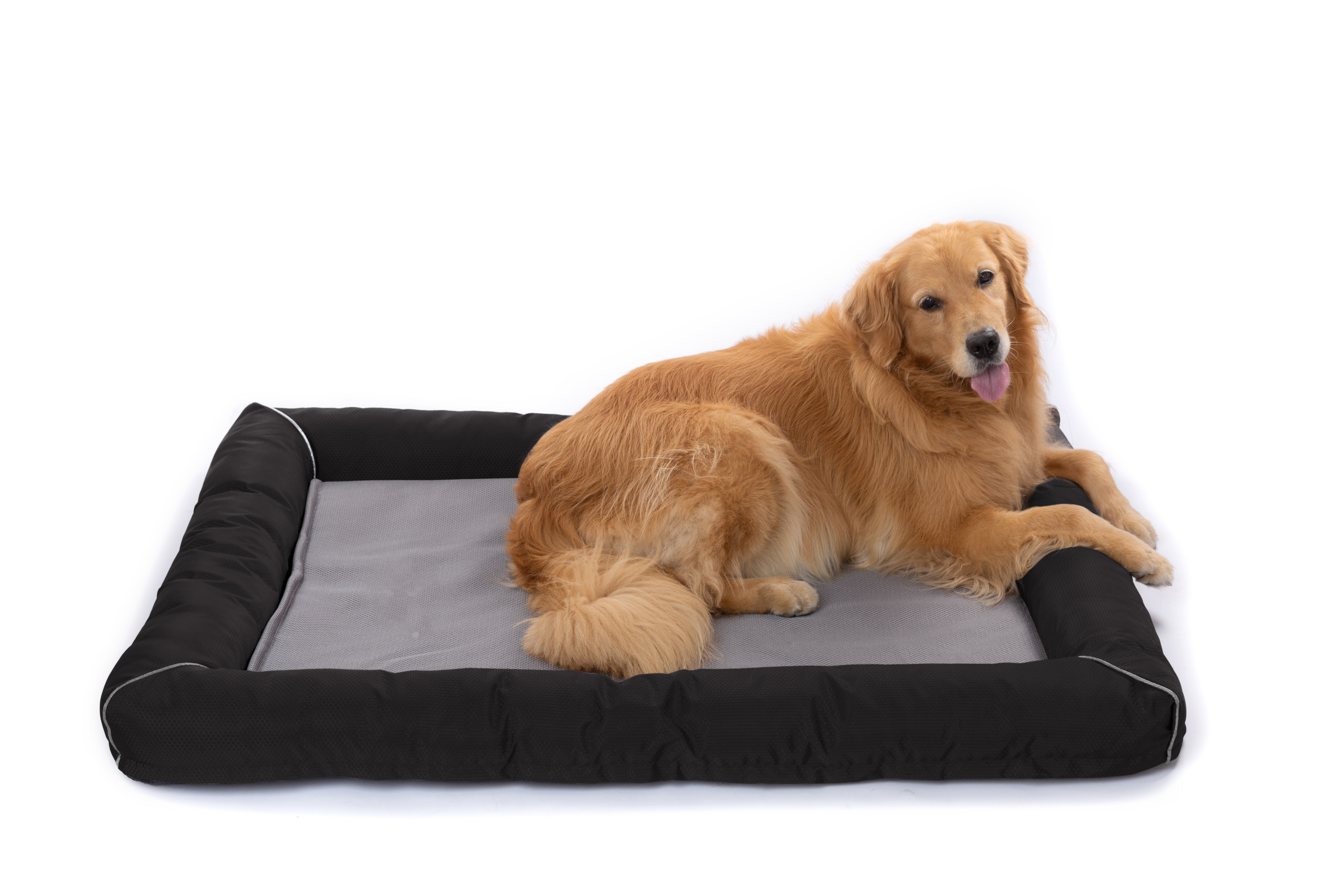 Raikou Hundebett Hundesofa Katzenbett Tierbette Bezug abnehmbar und waschbar  Boden wasserabweisend Abti Rutsch