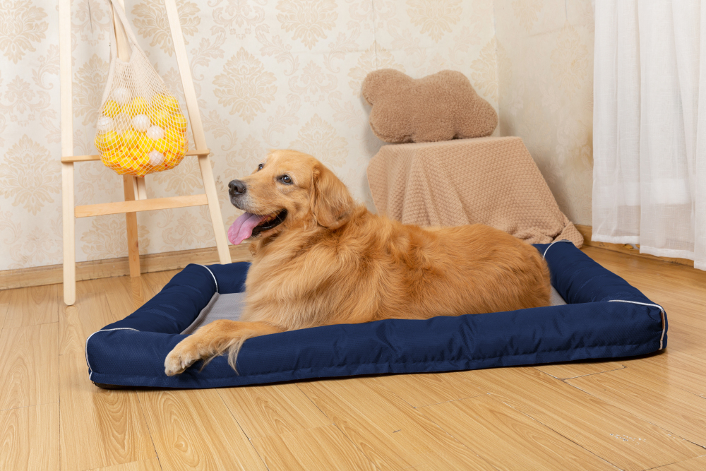 Raikou Hundebett Hundesofa Katzenbett Tierbette Bezug abnehmbar und waschbar  Boden wasserabweisend Abti Rutsch